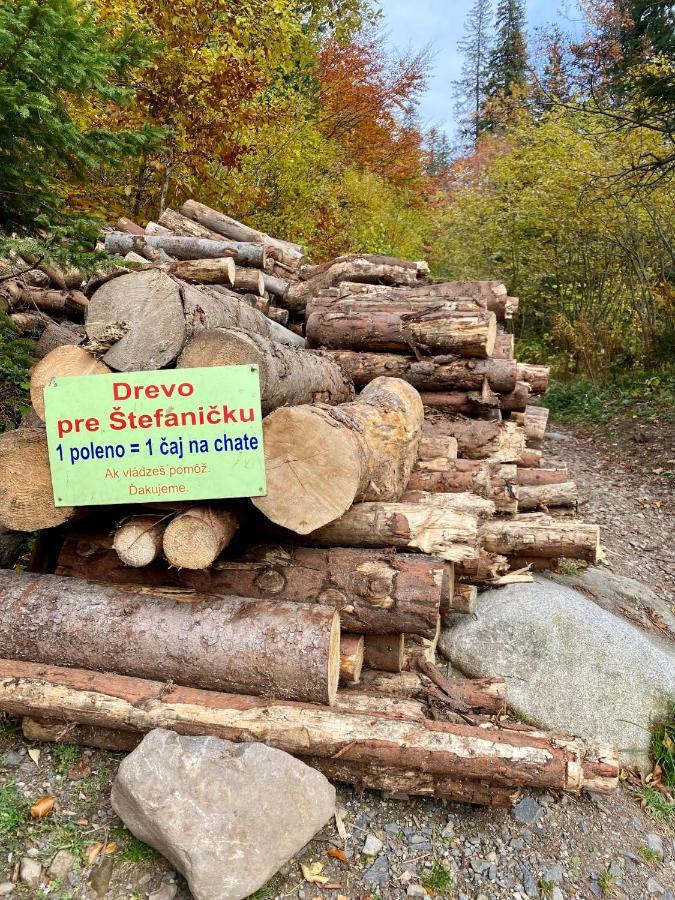 Apartments Srdiecko - Sauna In Smaller Apt - Highest In Central Europe - Fireplace - In The Forest 塔莱 外观 照片